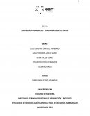 LA INTELIGENCIA DE NEGOCIOS COMO VENTAJA COMPETITIVA