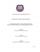 ENSAYO PRODUCTIVIDAD Y CALIDAD, LA AUDITORIA DE PRODUSTIVIDAD