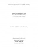 IMPLEMENTACIÓN DEL SISTEMA DE GESTIÓN AMBIENTAL