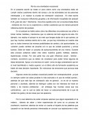 Rol de una orientadora vocacional