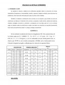 CÁLCULO AL DETALLE (ERRORES)