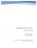 ANALISIS COSTOS