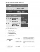 ESQUEMA NORMAS DE AUDITORIA ARGENTINAS