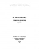 PLAN ESTRATEGICO INDEPENDENCE DRILLING S.A.