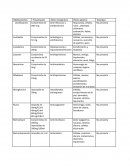 Trabajo de farmaco Medicamentos