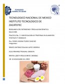 PRACTICA No. 2. IDENTIFICACIÓN DE PROTEÍNAS EN ALIMENTOS VEGETALES Y ANIMALES