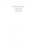 Análisis de la familia nuclear: Hipótesis Sistémicas