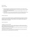 Plan de marketing. Objetivos de marketing