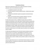 AUDITORIA Procedimientos del Examen