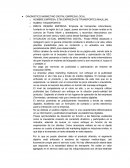 DIAGNISTICO MARKETING DIGITAL EMPRESA LOCAL