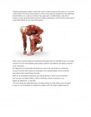 Gimnasio; masa muscular