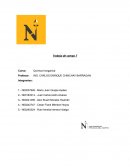 PROCESO DE ELABORACION DE LA CERVEZA