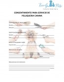 Consentimiento peluqueria canina