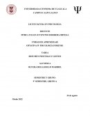 RESUMEN POSTURAS Y GESTOS