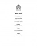 Optimización y Simulación parcial