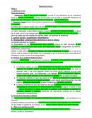 Resumen Cívica.La justicia social