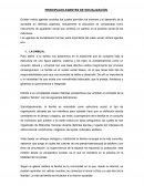 PRINCIPALES AGENTES DE SOCIALIZACIÓN