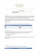 Analisis de caso Hilos de México S.C