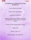 Teoría Y Proceso De Enfermería