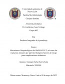 La enfermedad por el coronavirus SARS-COV-2