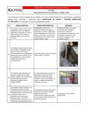 IMPORTADORA Y EXPORTADORA KALPANA LIMITADA