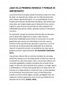¿Que es la primera infancia y porque es importante?