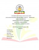 Cambios físicos y químicos de la materia