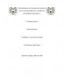 Partes del proceso romano