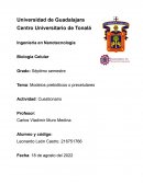 Modelos prebioticos o precelulares