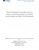 Efectos de la alimentación con microalgas Chaetoceros calcitrans y Nannochloropsis gaditana, en el crecimiento larval de Tetrapygus niger