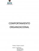 Tarea de Desarrollo Organizacional