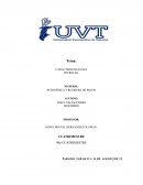 CARACTERISTICAS DEL PETROLEO