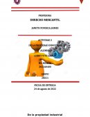 Actividad de la propiedad industrial