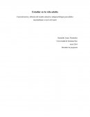 Alfabetización en lengua maya