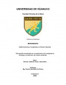 Malformaciones congenitas en Recién Nacidos