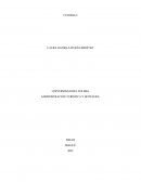 Identidad cultural, un concepto que evoluciona