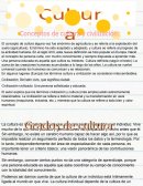 El concepto de cultura