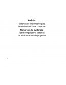 Tabla sistemas de informacion para la administracion de proyectos