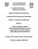 Laboratorio de Fisicoquímica fisiológica Práctica 1. Energía y metabolismo