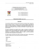 LABORATORIO DE ELECTRICIDAD Y MAGNETISMO