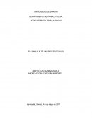 EL LENGUAJE DE LAS REDES SOCIALES