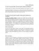 Efectos del alcohol Cigarrillo Cardiovasculares. Respiratorios y neurológicos actividad 3