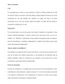 Marco Conceptual sobre el Cafe