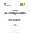 ANÁLISIS DE CRITICIDAD DE SUBSISTEMAS DEL COMPRESOR DE AIRE LUBRICADO