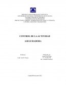 Control de la actividad aseguradora