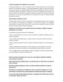 ¿Cuál es el impacto de los plásticos en los mares?