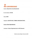 Cultura Organizacional en UPS Alemania , empresa UPS