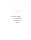 Solución De Conflictos Para Equipos Interdisciplinarios De Trabajo