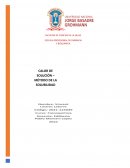 CALOR DE SOLUCIÓN – MÉTODO DE LA SOLUBILIDAD