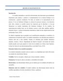 Modelos matematicos